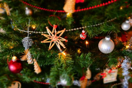 Things to Do This Holiday Season in Indianapolis